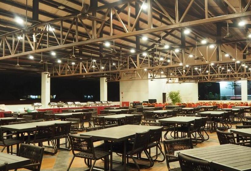 酒店 Lotus Seaview Beach Resort