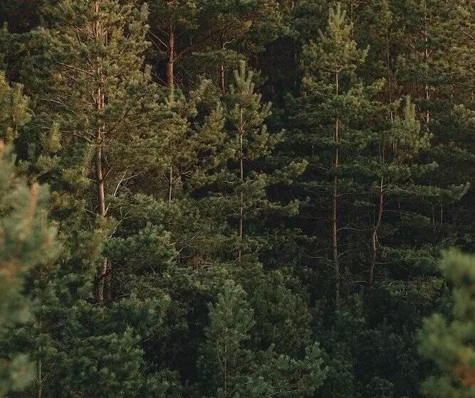 Hotelli Saltic Resort & Spa Grzybowo