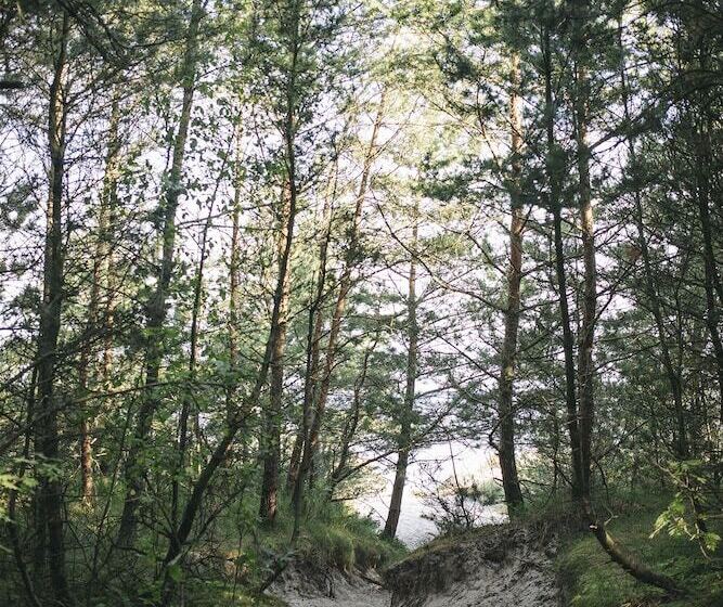 בית מלון כפרי Saltic Resort & Spa Grzybowo