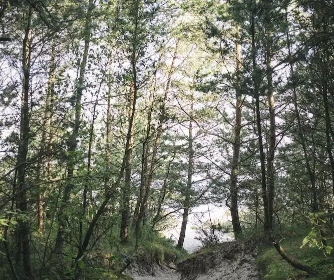 Hotelli Saltic Resort & Spa Grzybowo