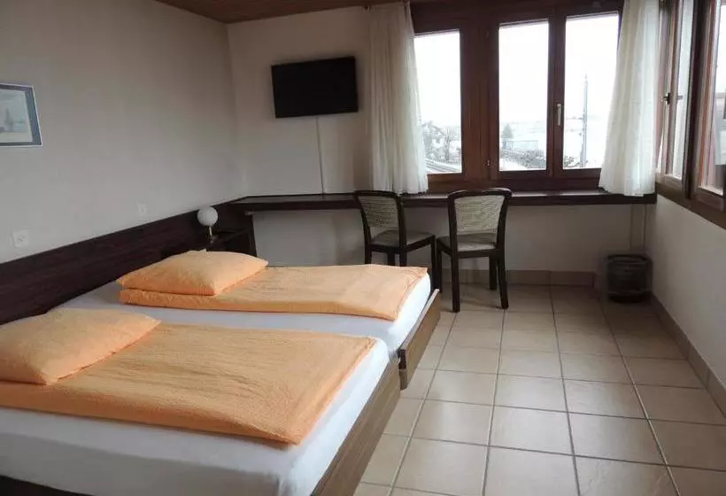 酒店 Flüelerhof B&b Garni Rustico