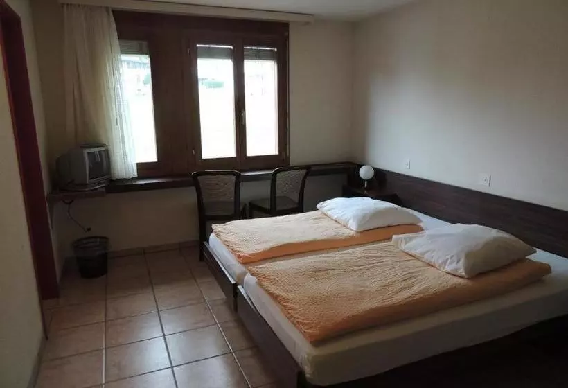 酒店 Flüelerhof B&b Garni Rustico