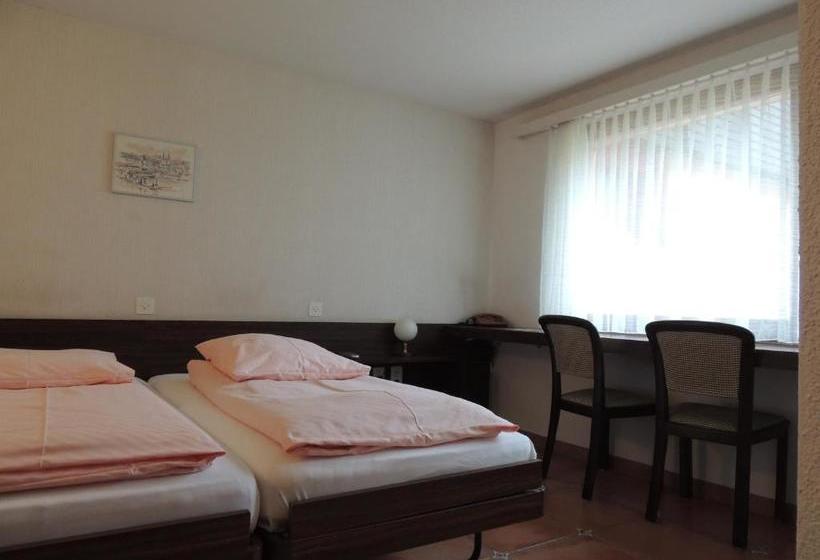 Hotel Flüelerhof B&b Garni Rustico