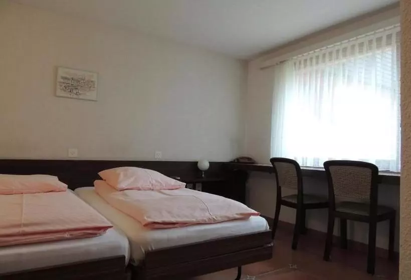 酒店 Flüelerhof B&b Garni Rustico