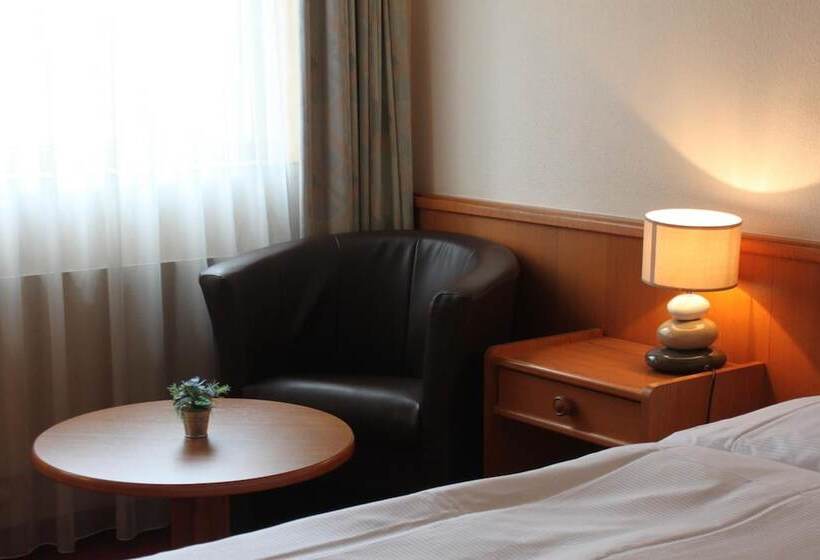 酒店 Hôtel Des Trois Rois