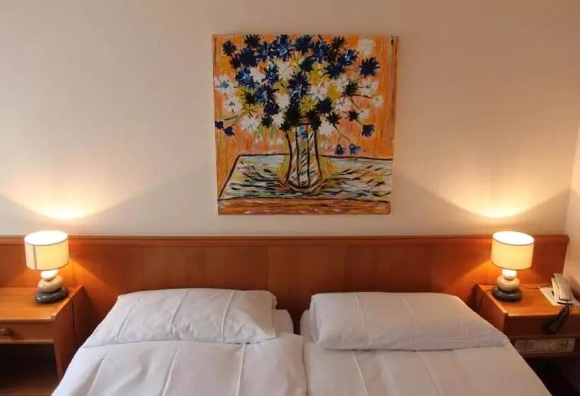 فندق Hôtel Des Trois Rois