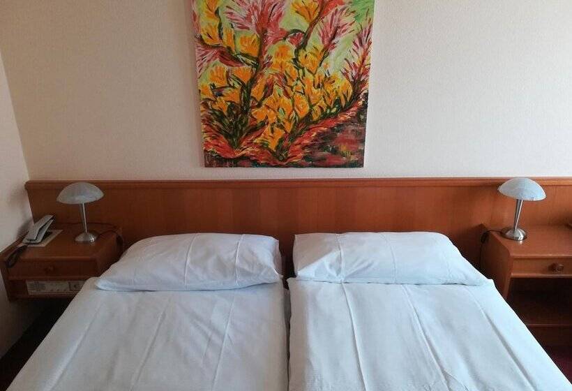 酒店 Hôtel Des Trois Rois