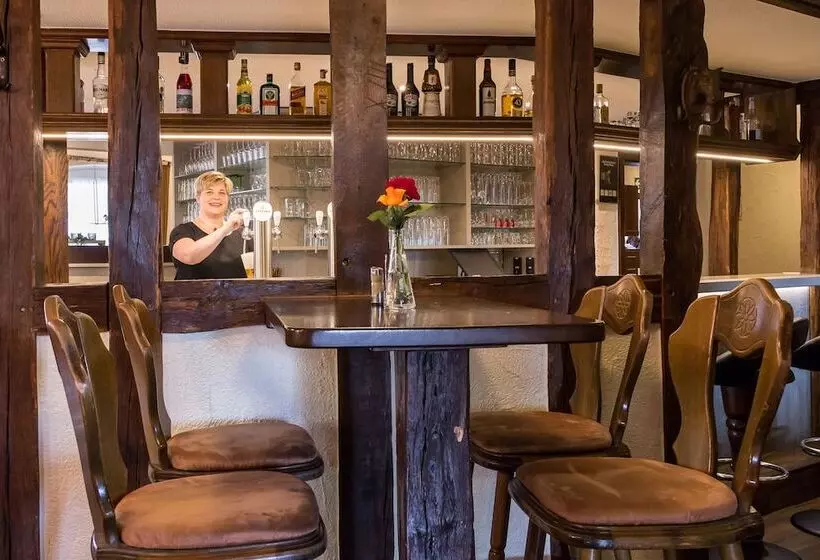 Hotelli Restaurant Gasthof Steinhoff