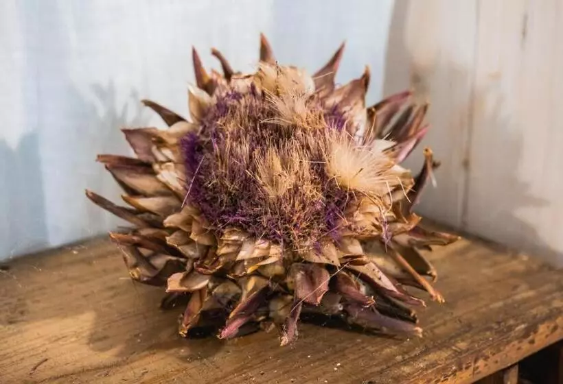 Maaseutuhotelli Ostello Dei Giardini Di Pomona