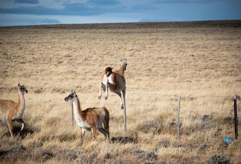 Paraiso Patagónico Bungalows And Aparts