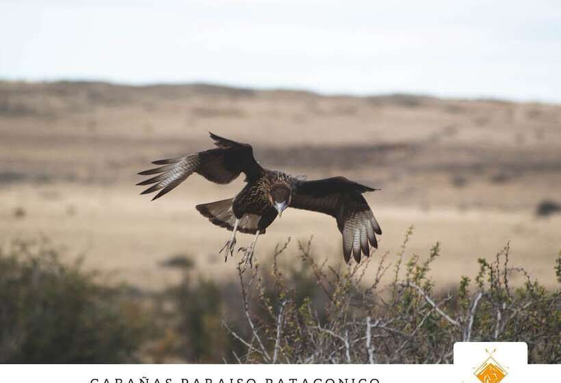 Paraiso Patagónico Bungalows And Aparts