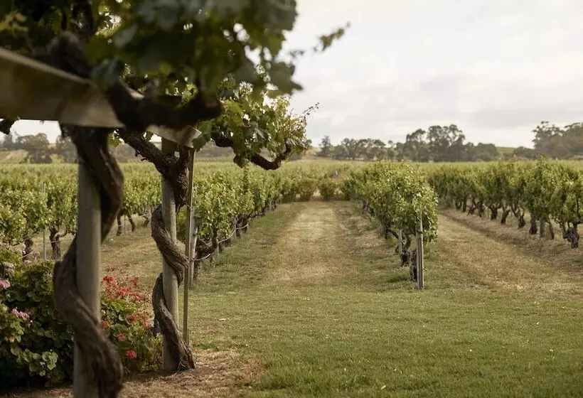 Majatalo Le Mas Barossa