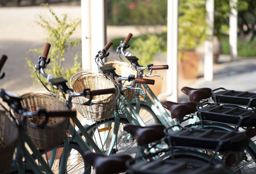 膳宿费 Le Mas Barossa