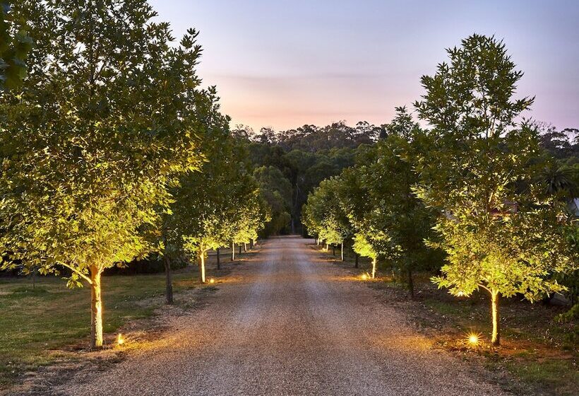 膳宿费 Le Mas Barossa