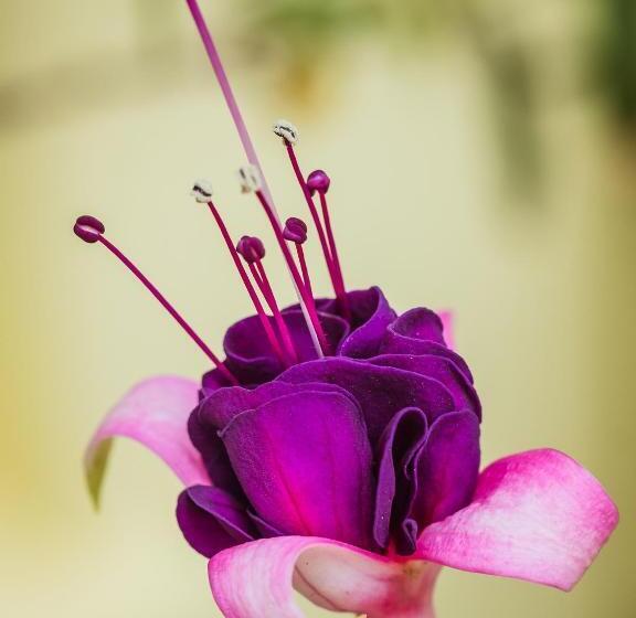 פנסיון On The Bay