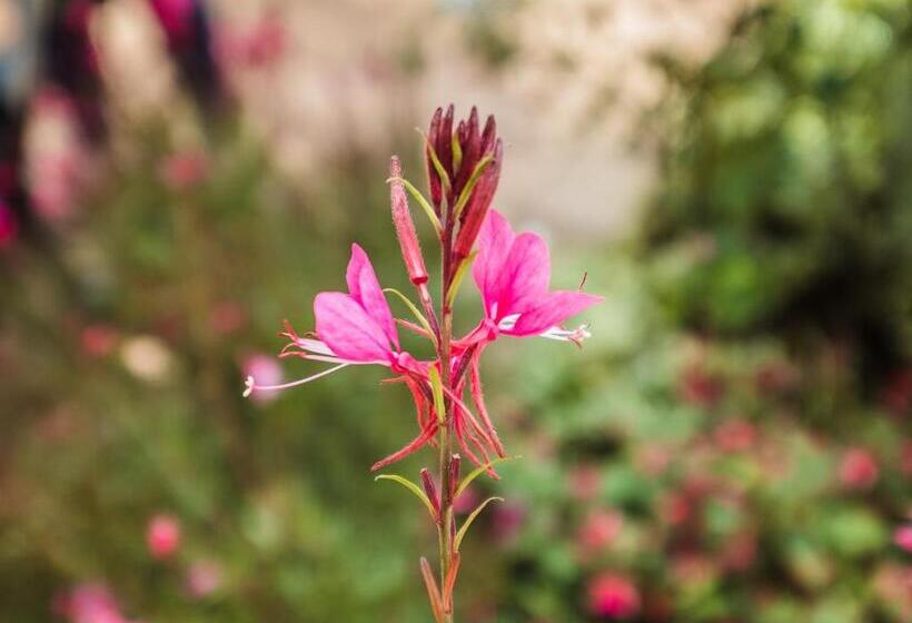 פנסיון On The Bay