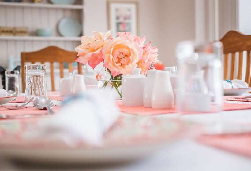 פנסיון On The Bay