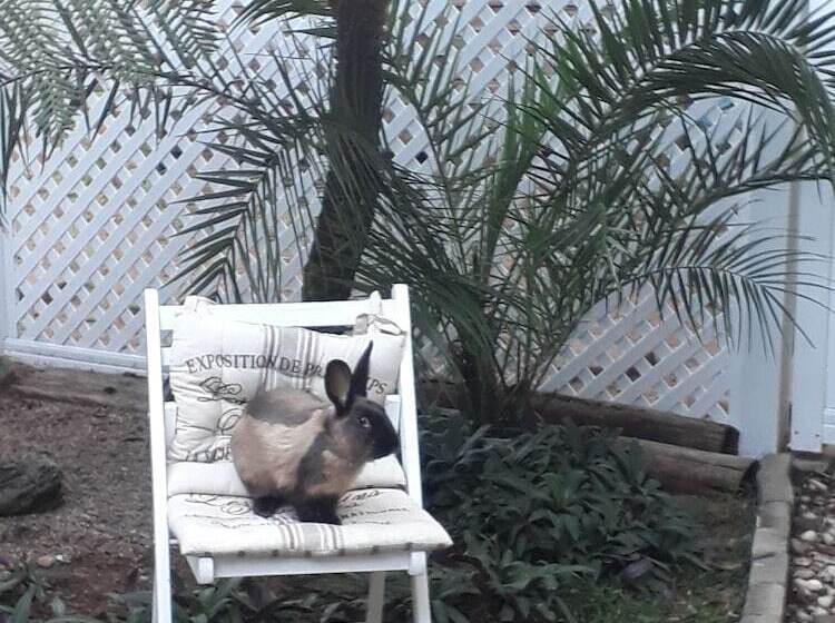 צימר Umuzi Guest House