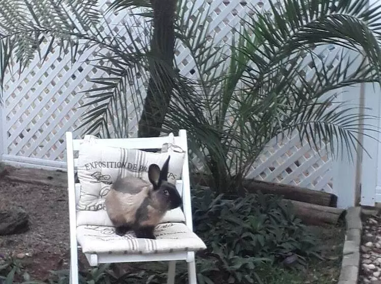 Aamiaismajoitus (B&B) Umuzi Guest House