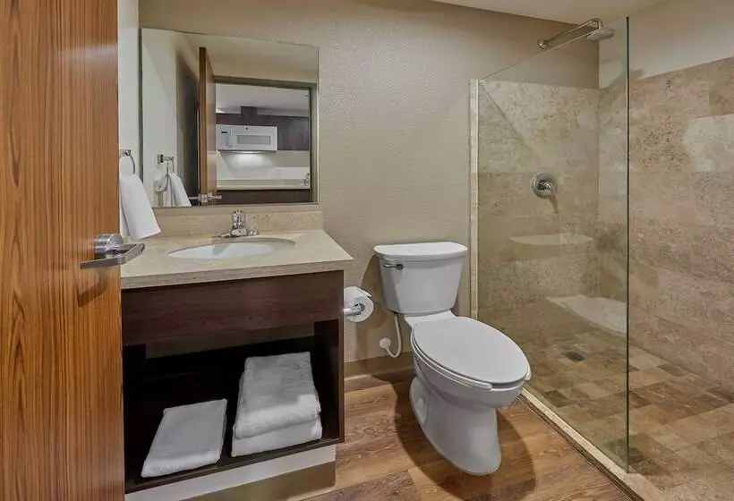 ホテル Extended Suites Querétaro Juriquilla