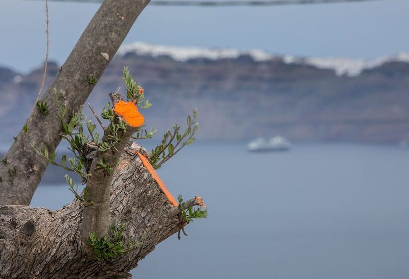 هتل Melidonia Suites