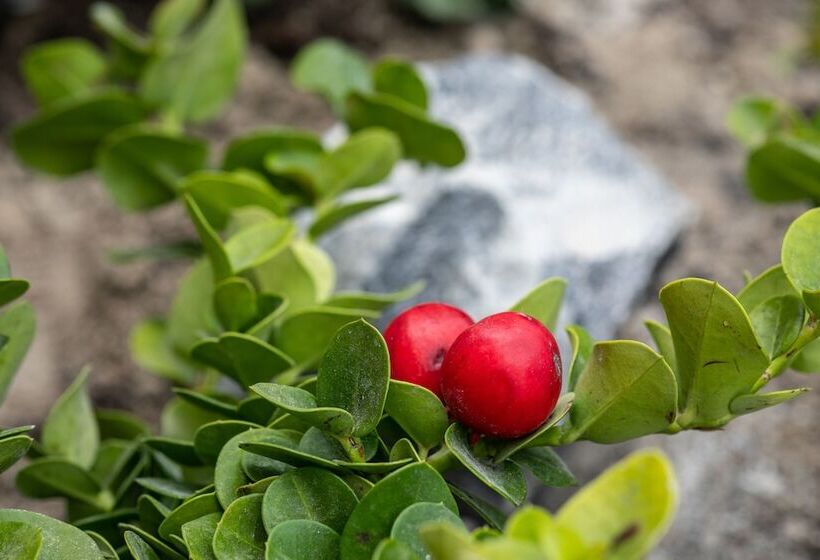 هتل Melidonia Suites