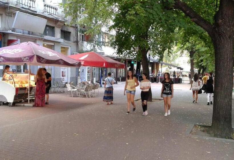 פנסיון Red House