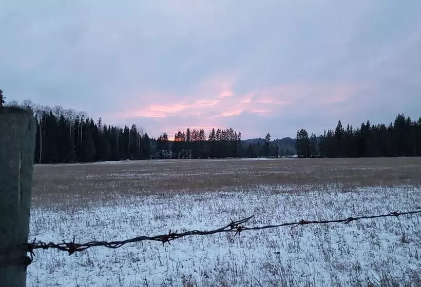 Woodhouse Cottages And Ranch