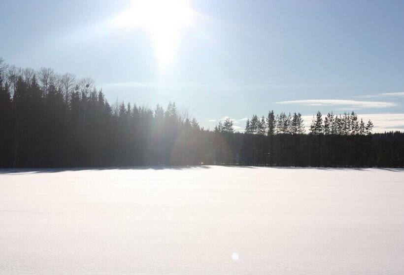 Woodhouse Cottages And Ranch