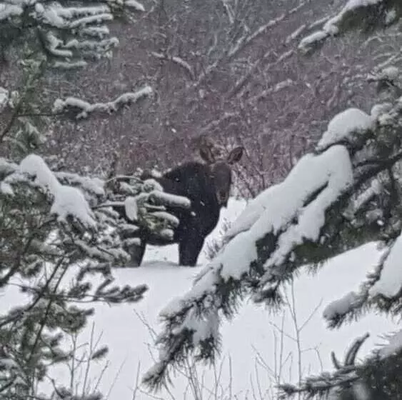 Woodhouse Cottages And Ranch