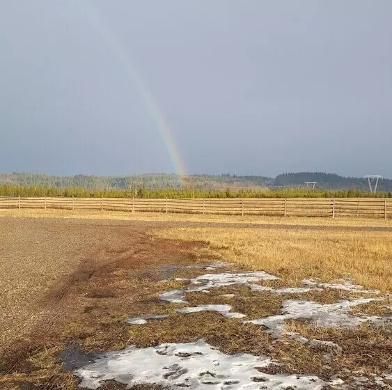 Woodhouse Cottages And Ranch