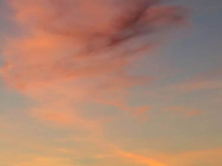 Woodhouse Cottages And Ranch