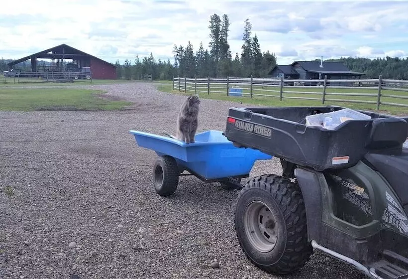 Woodhouse Cottages And Ranch