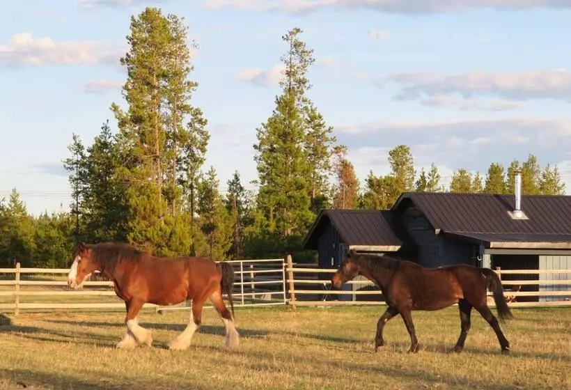 Woodhouse Cottages And Ranch