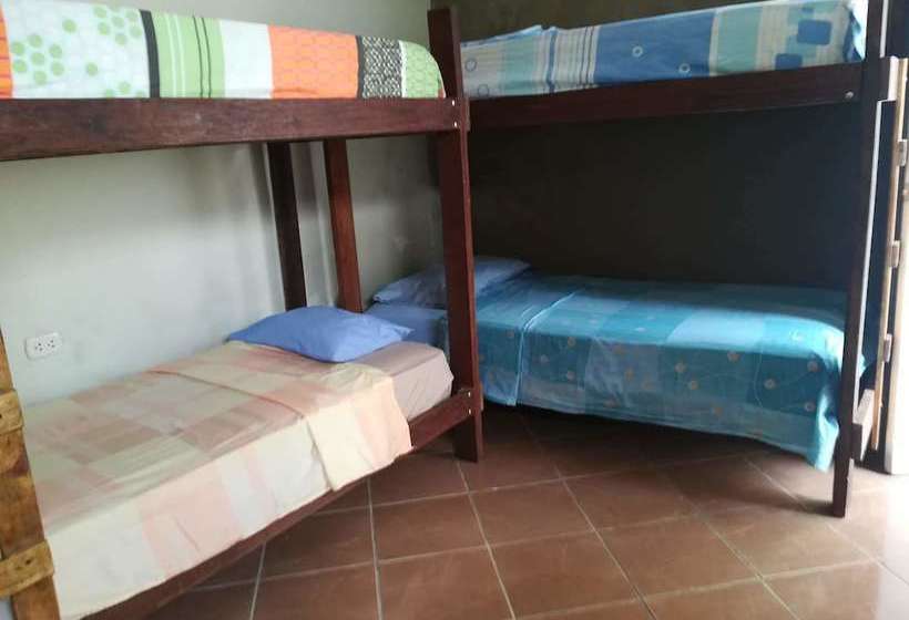 Yuntawasi Hostel Tarapoto