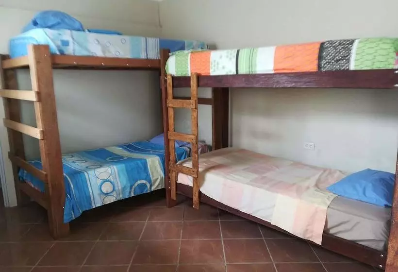 Yuntawasi Hostel Tarapoto