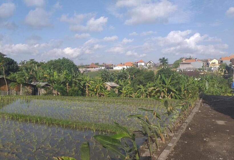 هاستل Pd Bali Guesthouse