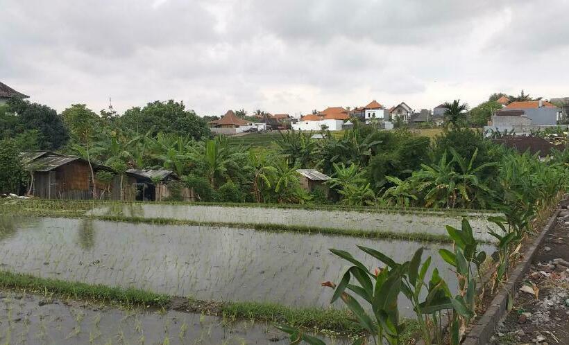 هاستل Pd Bali Guesthouse