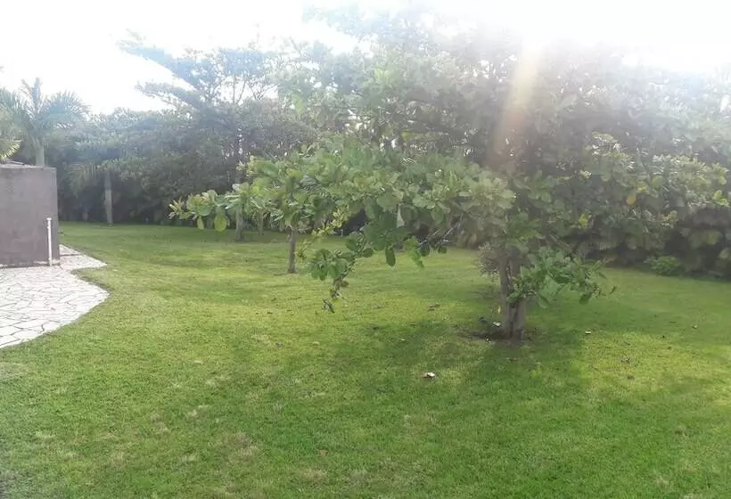 تختخواب و صبحانه La Kaz A Dom 974