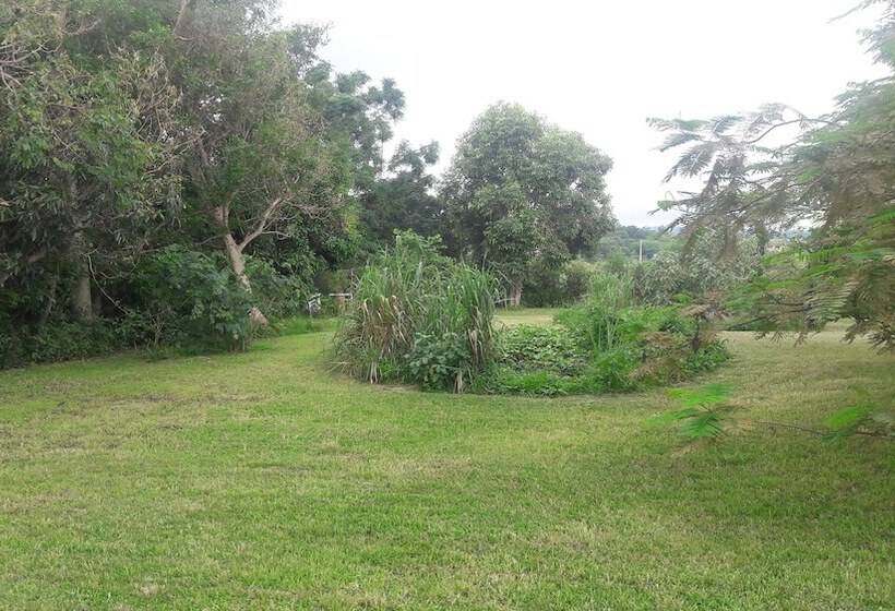 تختخواب و صبحانه La Kaz A Dom 974