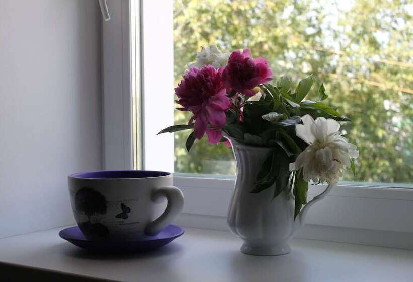 Aamiaismajoitus (B&B) Oneginn