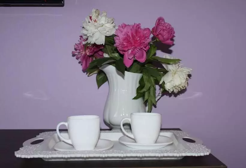 تختخواب و صبحانه Oneginn