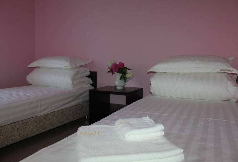 Aamiaismajoitus (B&B) Oneginn