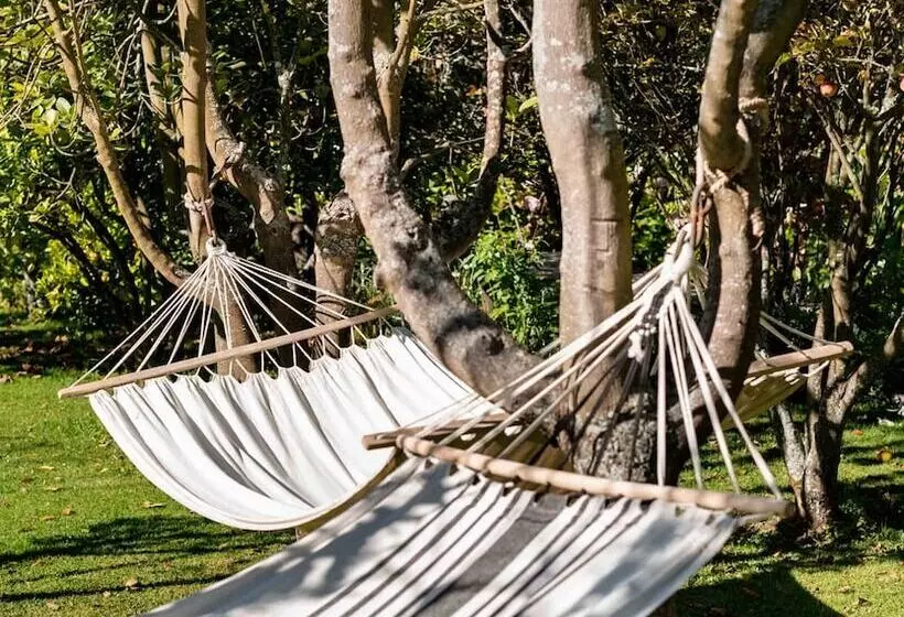 Andenia Boutique Hotel, Sacred Valley