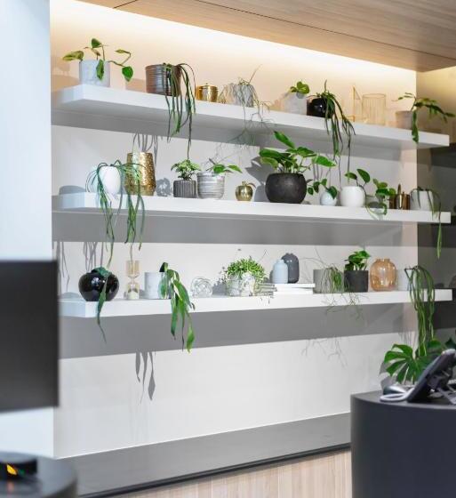 Brady Hotels Jones Lane