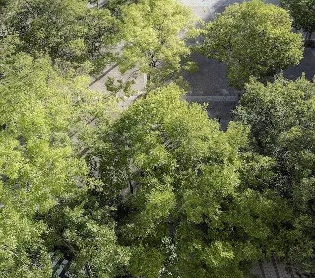 Hotelli Labotessa Luxury Boutique