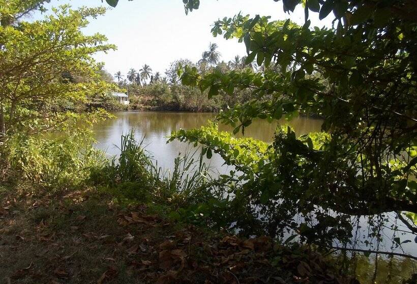 Pensió Amada Lake View Homestay