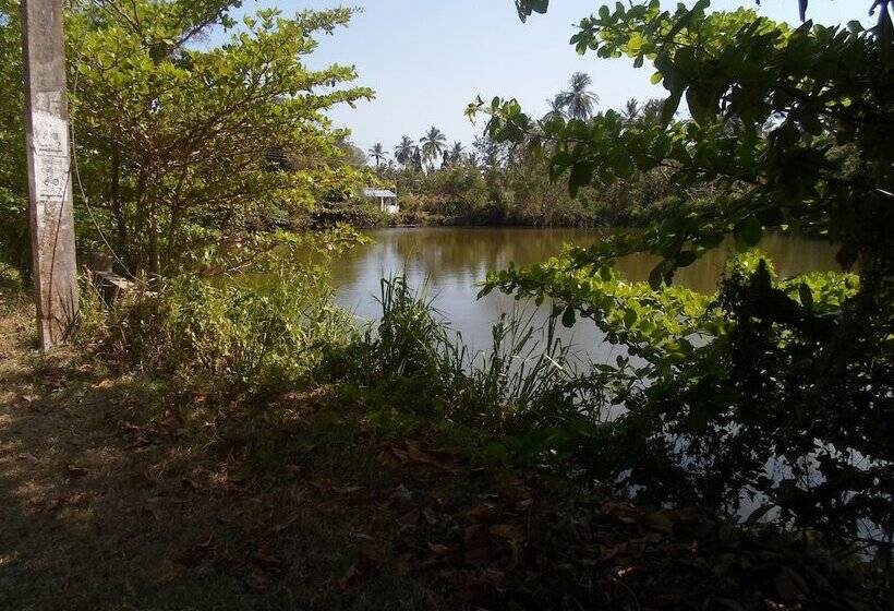 Pensió Amada Lake View Homestay