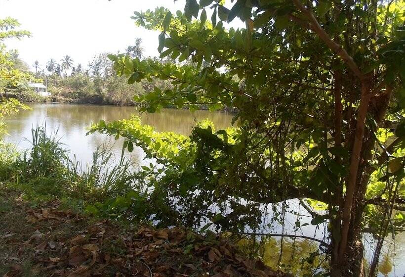 Pensió Amada Lake View Homestay