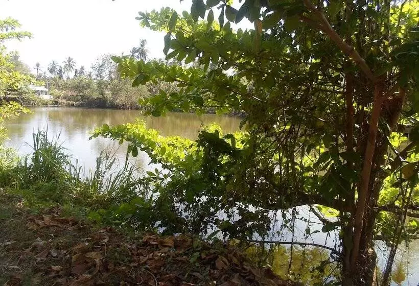 پانسیون Amada Lake View Homestay